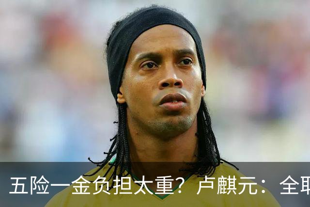 五险一金负担太重？卢麒元：全取消，征房产直接税，经济才会正常